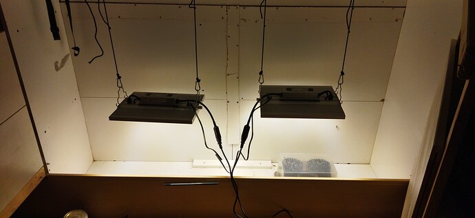 Growreport Bild 2