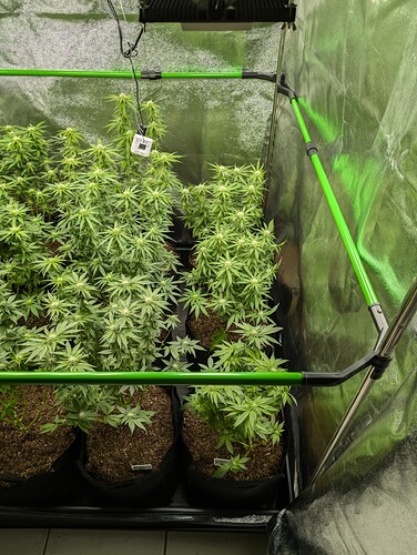 Growreport Bild 13