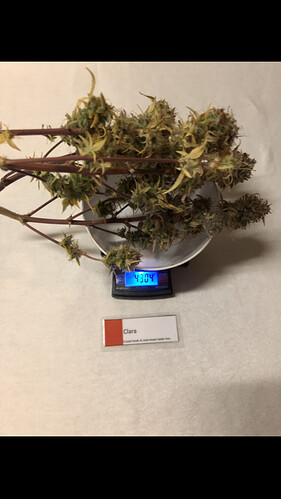 Growreport Bild 10