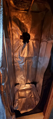 Growreport Bild 20