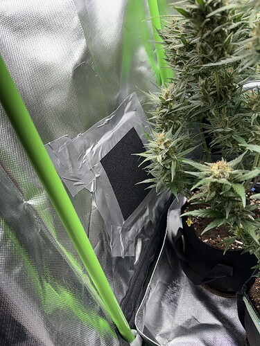 Growreport Bild 5