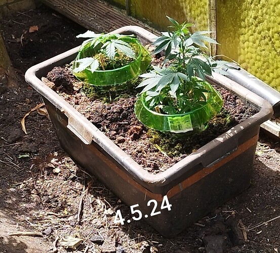 Growreport Bild 12
