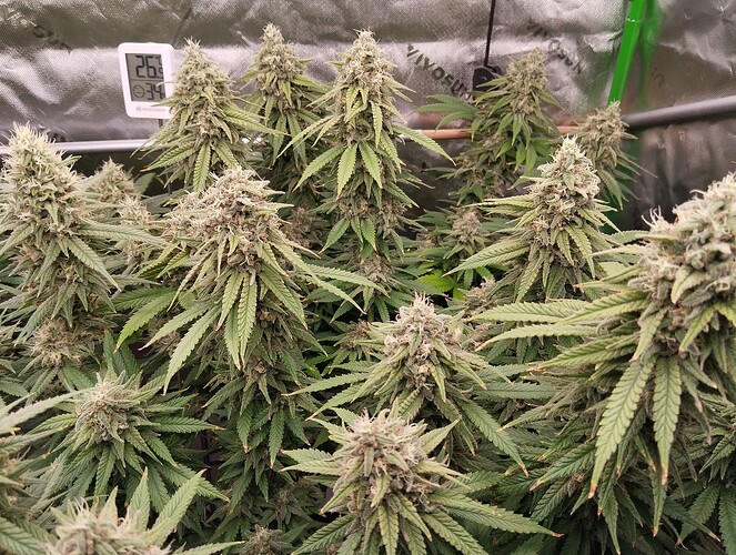 Growreport Bild 22