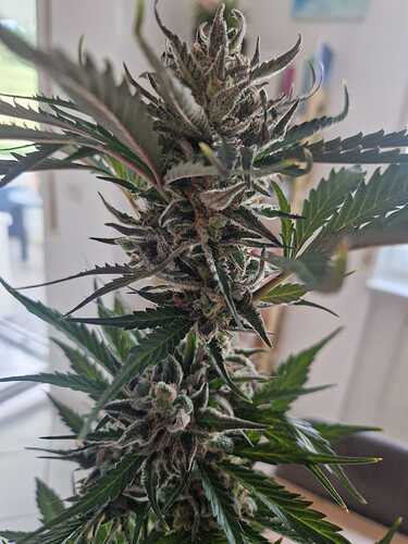 WhatsApp Image 2024-06-27 at 18.04.16 (1)