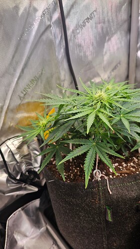 Growreport Bild 11