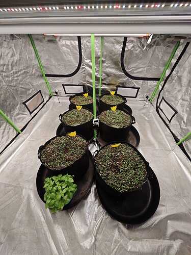 Growreport Bild 21