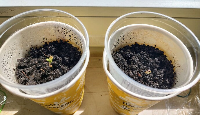 Growreport Bild 10