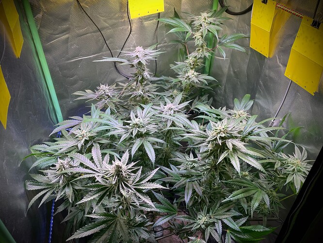 Growreport Bild 7