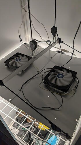 PXL_20250316_105427473.MP