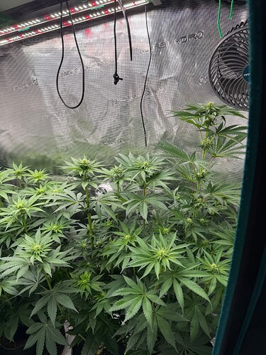 Growreport Bild 6