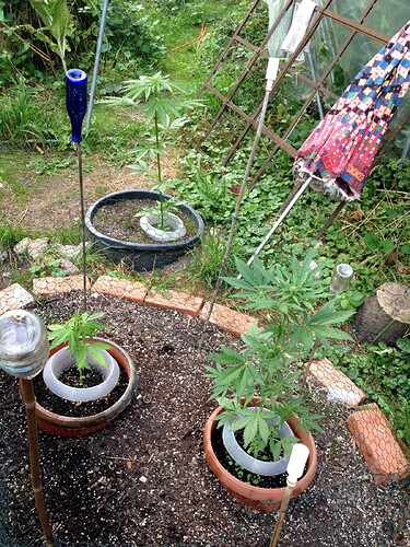 Growreport Bild 18