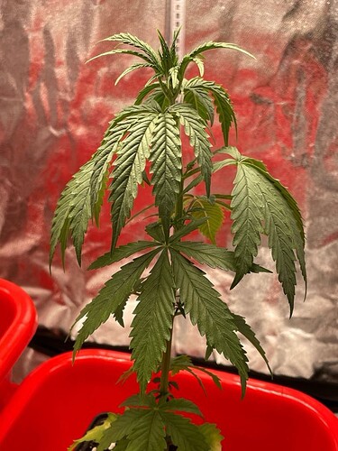Growreport Bild 11
