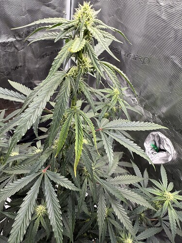 Growreport Bild 9