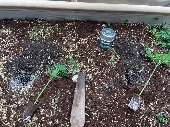 Growreport Bild 28