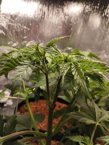 Growreport Bild 11