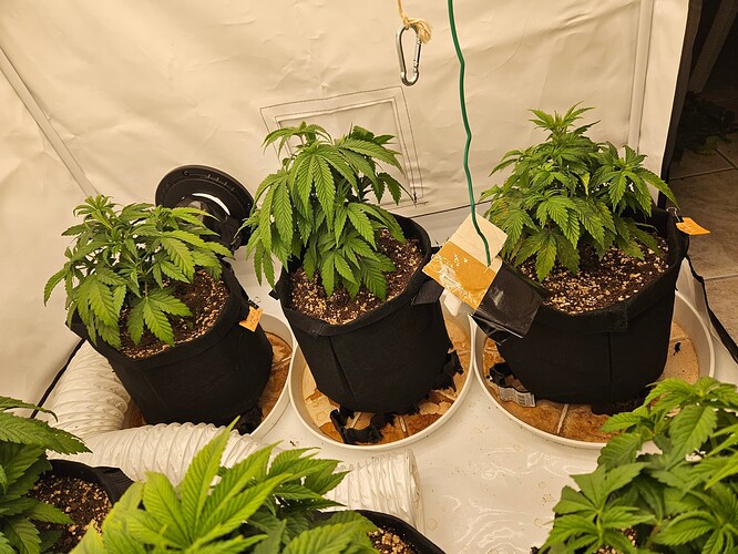 Growreport Bild 13
