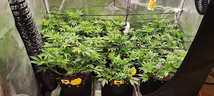 Growreport Bild 18