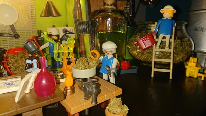 Growreport Bild 6
