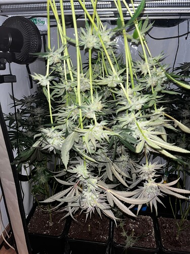 Growreport Bild 2