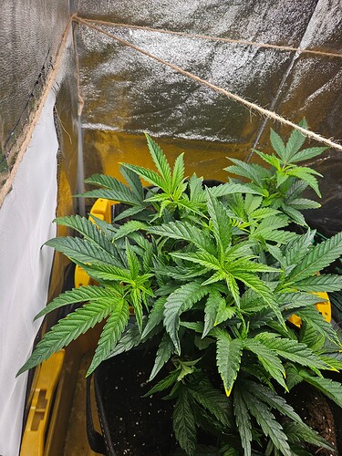 Growreport Bild 19