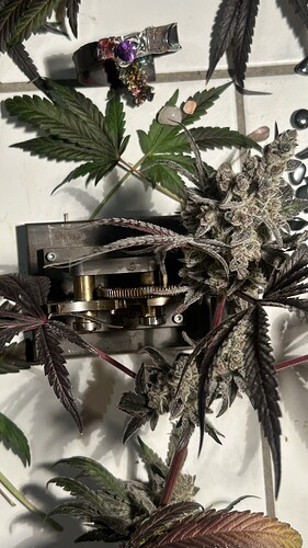Growreport Bild 18