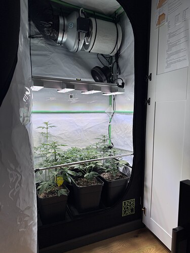 Growreport Bild 6