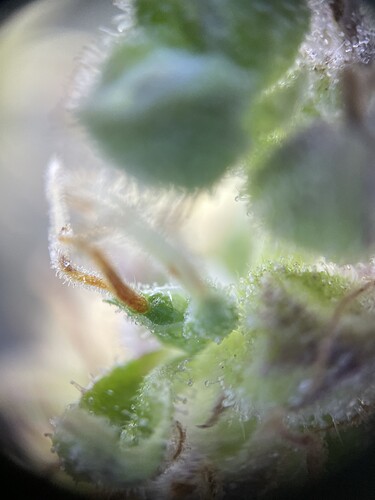 Growreport Bild 17