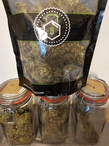 Growreport Bild 14