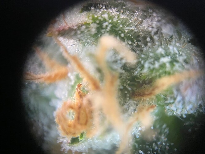 Growreport Bild 10