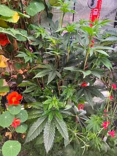 Growreport Bild 11