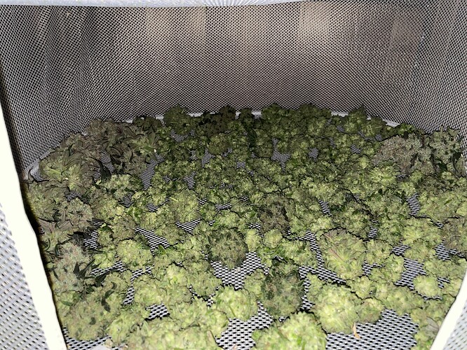 Growreport Bild 17