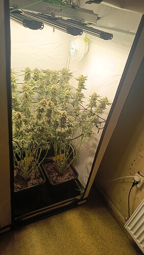 Growreport Bild 7