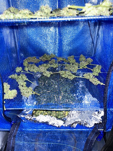 Growreport Bild 22