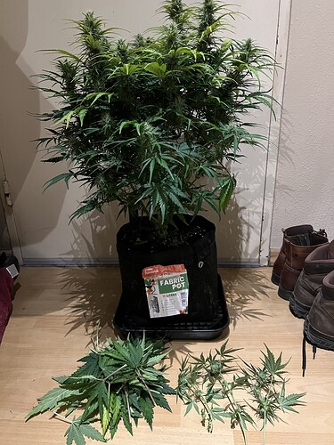 Growreport Bild 18