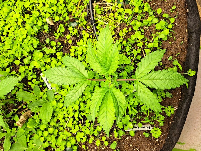 Growreport Bild 15