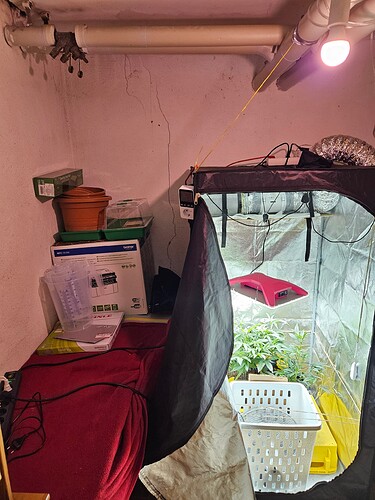 Growreport Bild 30