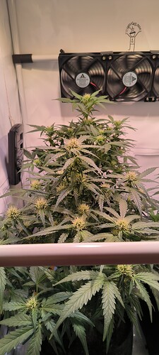 Growreport Bild 12