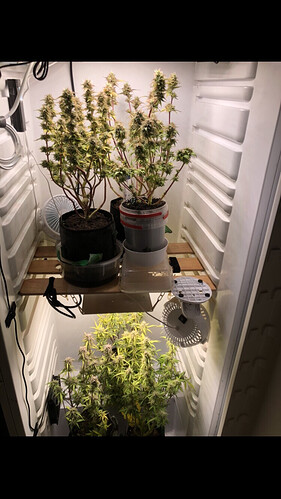 Growreport Bild 35