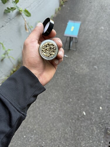 Growreport Bild 52