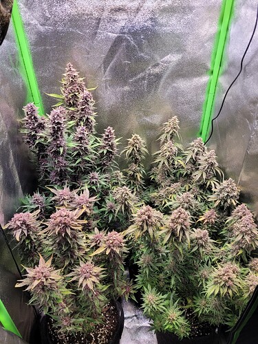 Growreport Bild 18