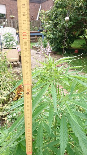 Growreport Bild 14