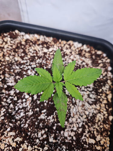 Growreport Bild 8
