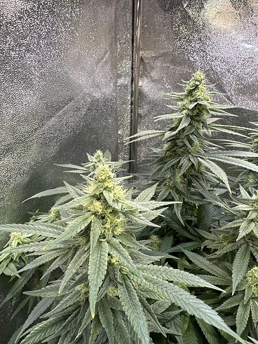 Growreport Bild 14