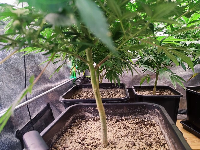 Growreport Bild 14