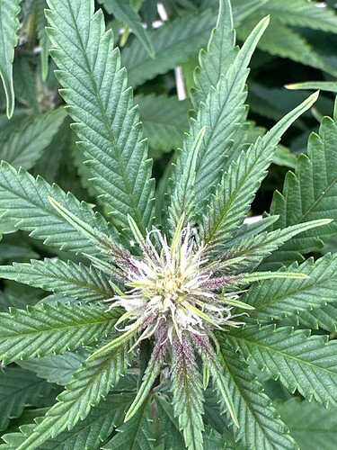 Growreport Bild 14