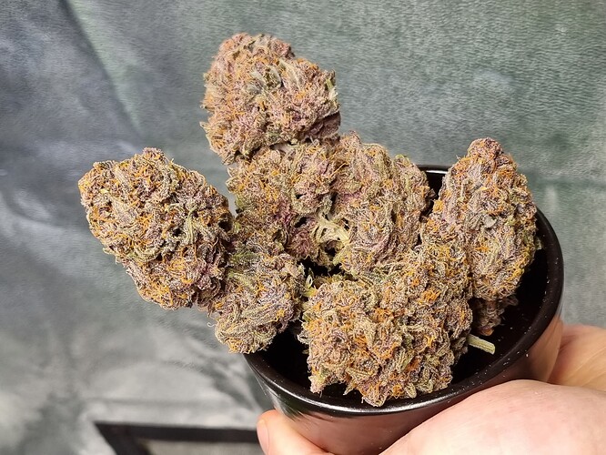 Growreport Bild 15