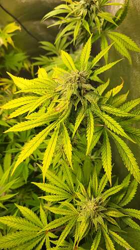 Growreport Bild 2
