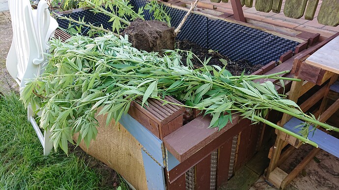 Growreport Bild 90