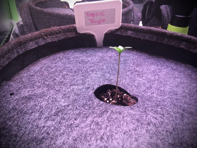 Growreport Bild 7