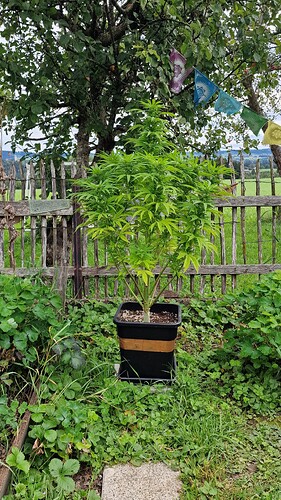 Growreport Bild 10